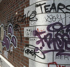 Naturstein Graffitientfernung und Anti-Graffiti-Beschichtung Hamburg
